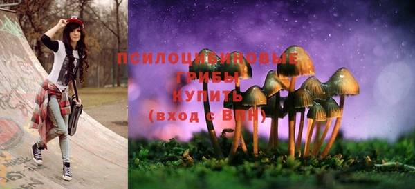 гашик Бугульма