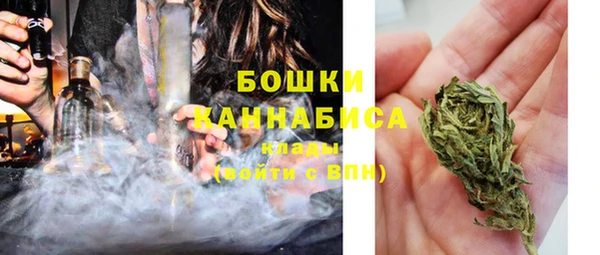 трава Бронницы