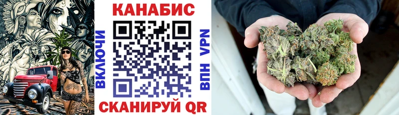 Бошки марихуана сатива  Сретенск 